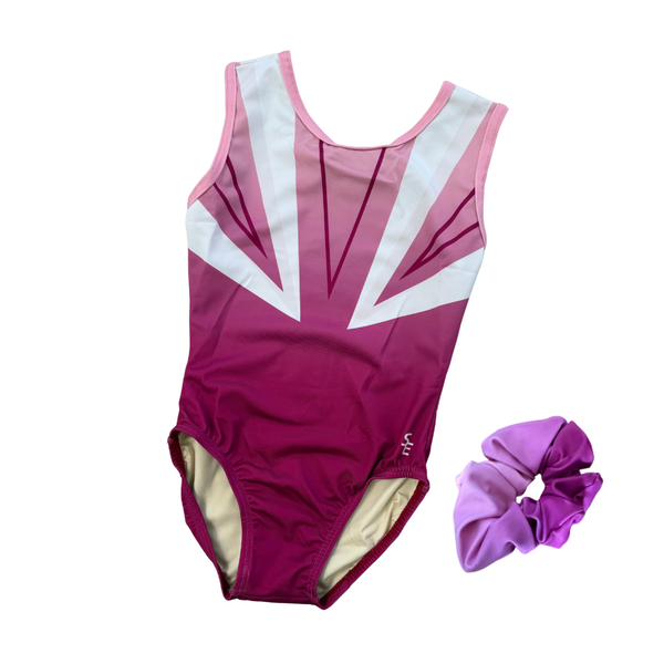 Pulse Leotard and Scrunchie