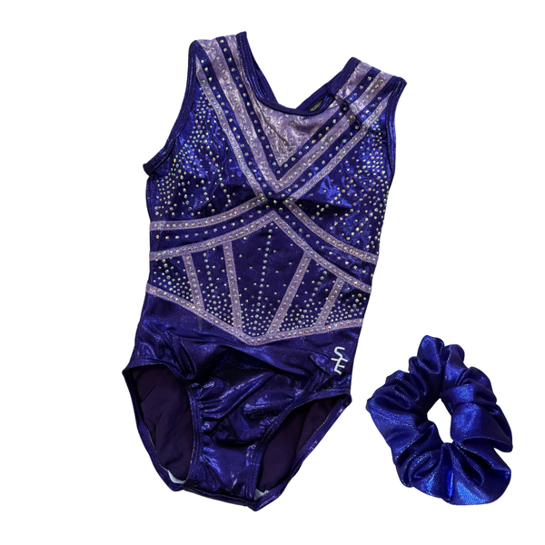 Twilight Leotard and Scrunchie